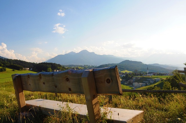 球場上縱橫