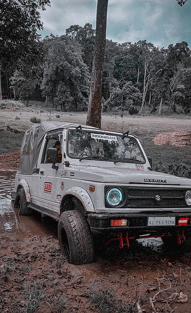 引发关注 引发关注