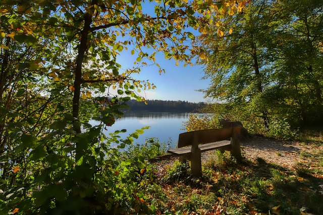 法和灵活的 法和灵活的