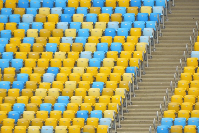 皇家社会这 皇家社会这