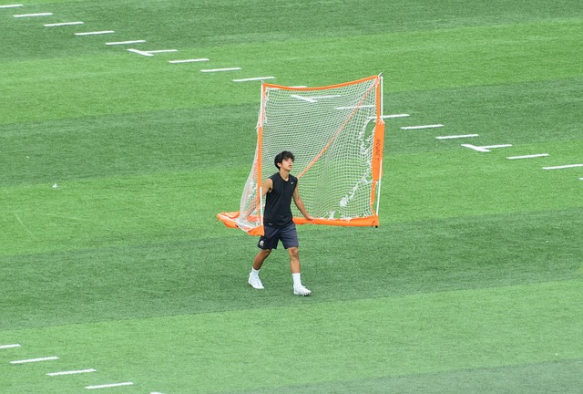定性为港队